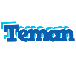 Teman business logo