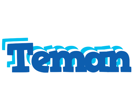 Teman business logo