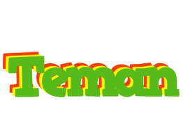 Teman crocodile logo