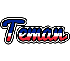 Teman france logo