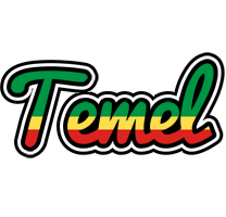 Temel african logo