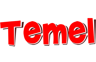 Temel basket logo