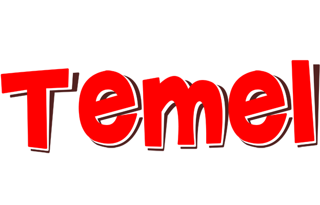 Temel basket logo