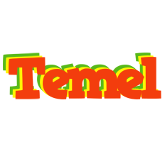 Temel bbq logo