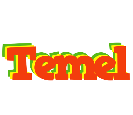 Temel bbq logo