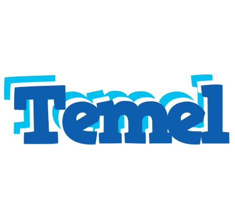 Temel business logo