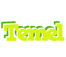 Temel citrus logo