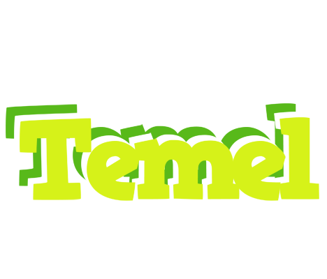 Temel citrus logo