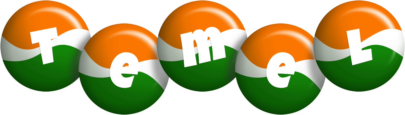 Temel india logo