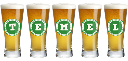 Temel lager logo