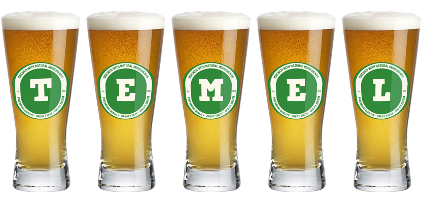 Temel lager logo