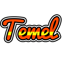 Temel madrid logo