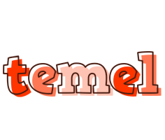 Temel paint logo