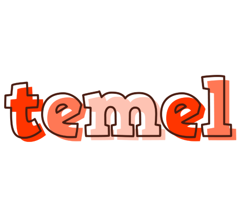 Temel paint logo