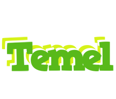 Temel picnic logo