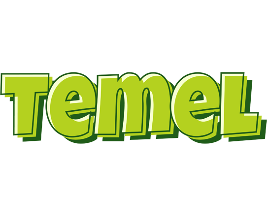 Temel summer logo