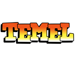 Temel sunset logo