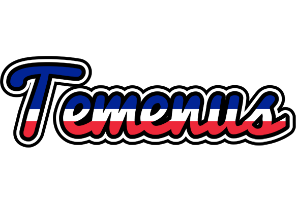 Temenus france logo
