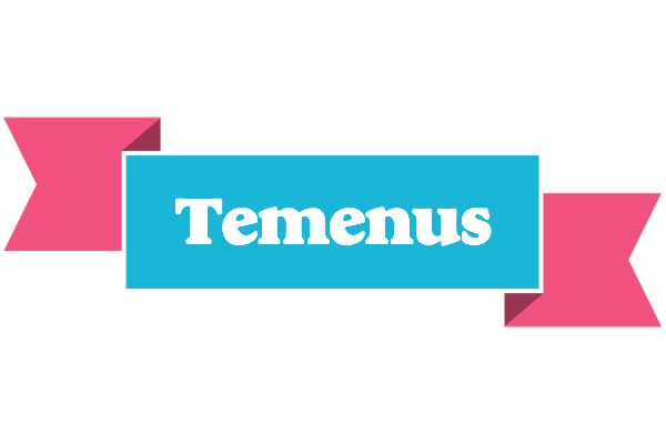 Temenus today logo