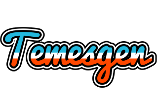 Temesgen america logo