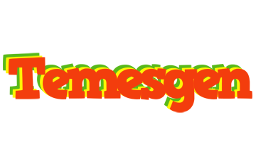 Temesgen bbq logo