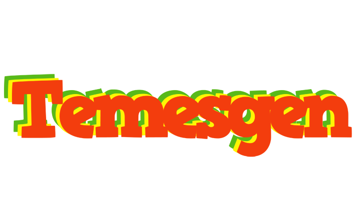 Temesgen bbq logo