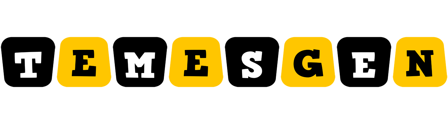 Temesgen boots logo