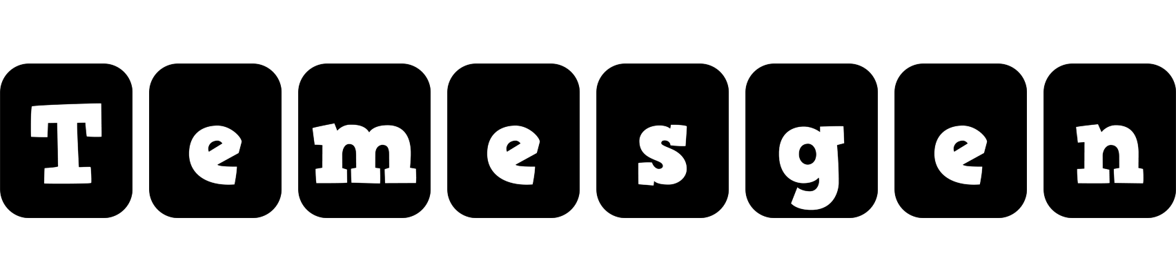 Temesgen box logo