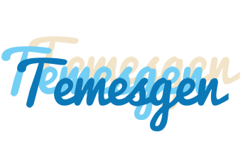 Temesgen breeze logo