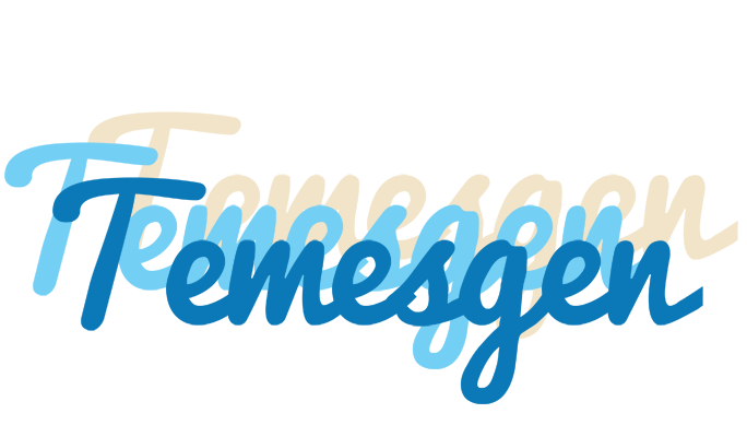 Temesgen breeze logo