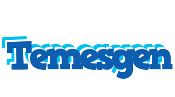 Temesgen business logo