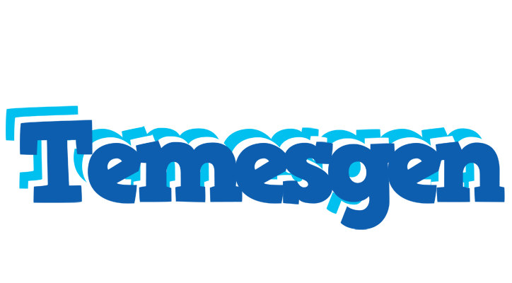Temesgen business logo