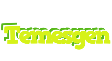 Temesgen citrus logo