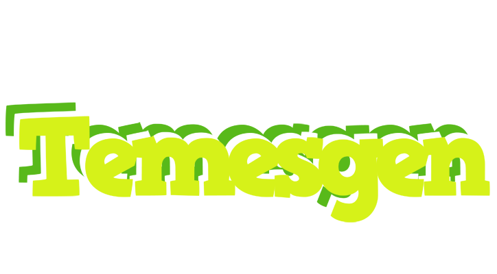 Temesgen citrus logo