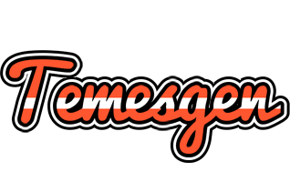 Temesgen denmark logo