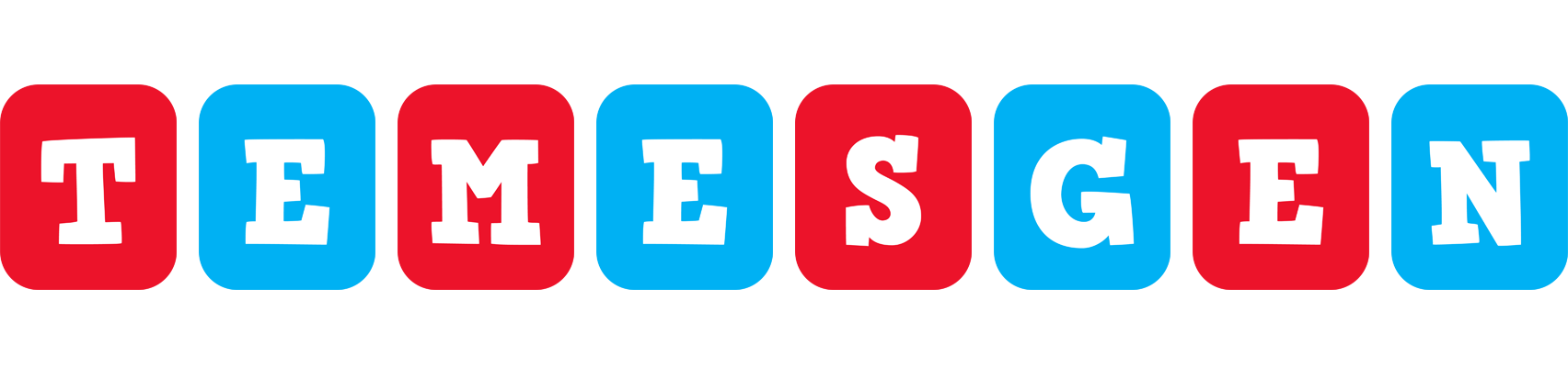 Temesgen diesel logo