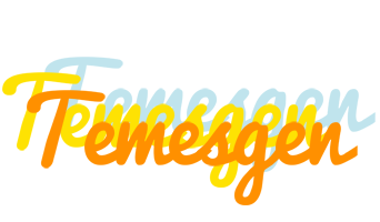 Temesgen energy logo