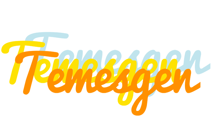 Temesgen energy logo