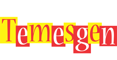 Temesgen errors logo