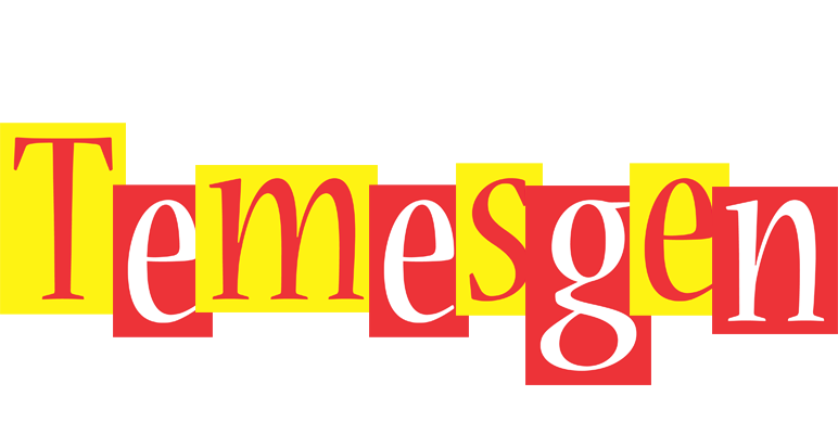 Temesgen errors logo