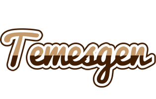 Temesgen exclusive logo