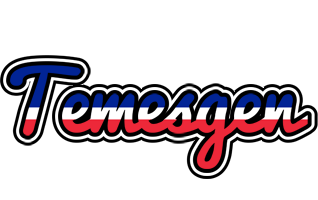 Temesgen france logo