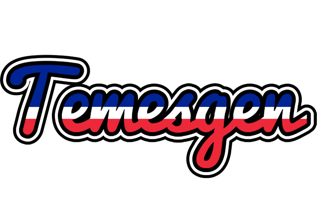 Temesgen france logo