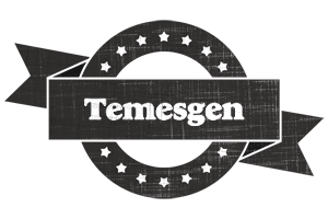 Temesgen grunge logo