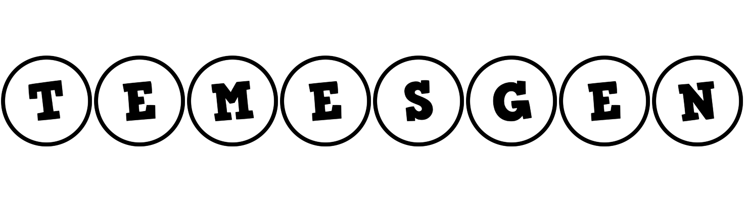 Temesgen handy logo