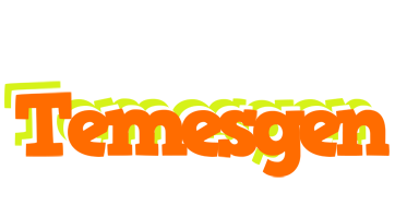 Temesgen healthy logo