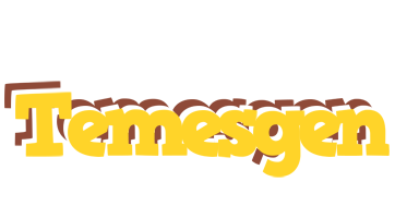 Temesgen hotcup logo