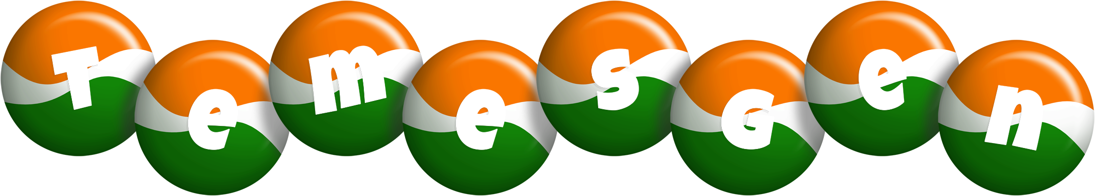 Temesgen india logo