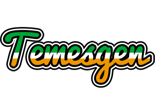 Temesgen ireland logo