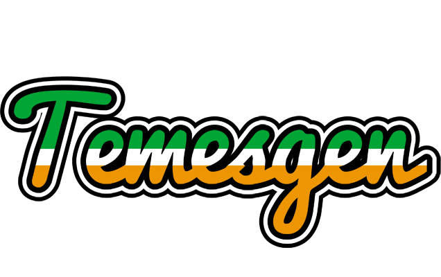 Temesgen ireland logo